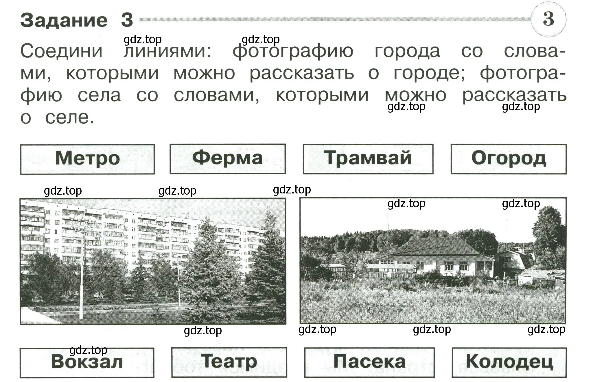 Условие номер 3 (страница 17) гдз по окружающему миру 2 класс Плешаков, Плешаков, проверочные работы