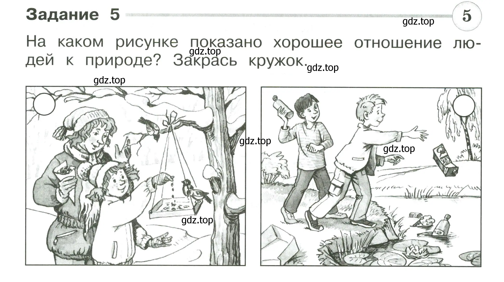 Условие номер 5 (страница 18) гдз по окружающему миру 2 класс Плешаков, Плешаков, проверочные работы