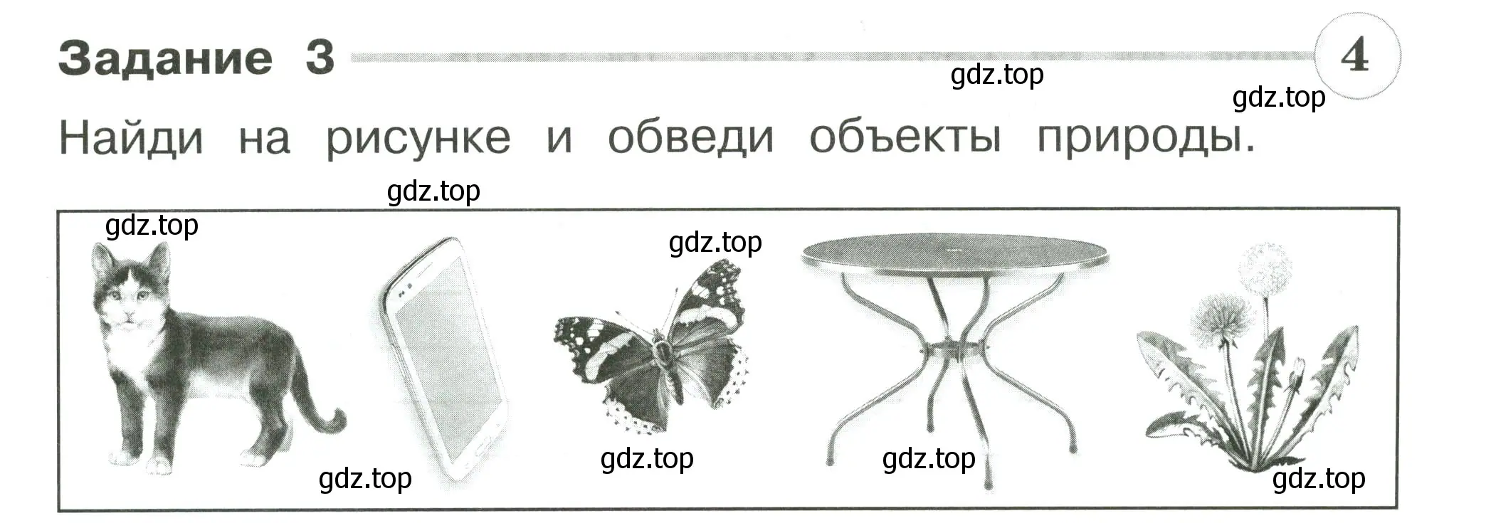 Условие номер 3 (страница 19) гдз по окружающему миру 2 класс Плешаков, Плешаков, проверочные работы