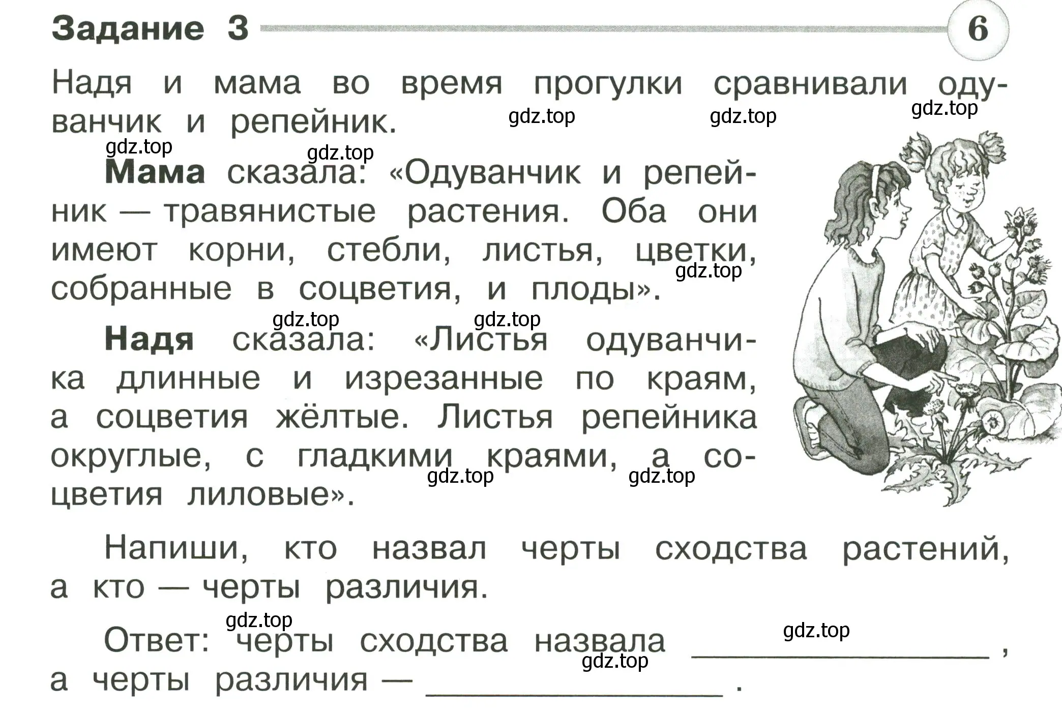 Условие номер 3 (страница 25) гдз по окружающему миру 2 класс Плешаков, Плешаков, проверочные работы