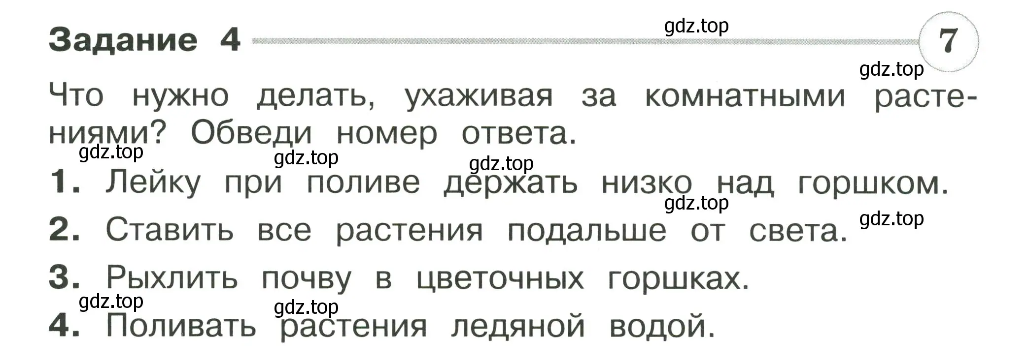 Условие номер 4 (страница 25) гдз по окружающему миру 2 класс Плешаков, Плешаков, проверочные работы