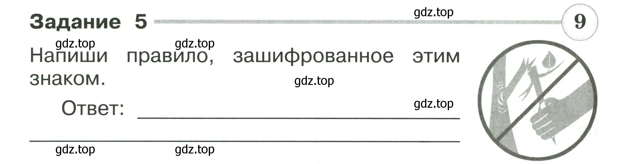 Условие номер 5 (страница 25) гдз по окружающему миру 2 класс Плешаков, Плешаков, проверочные работы