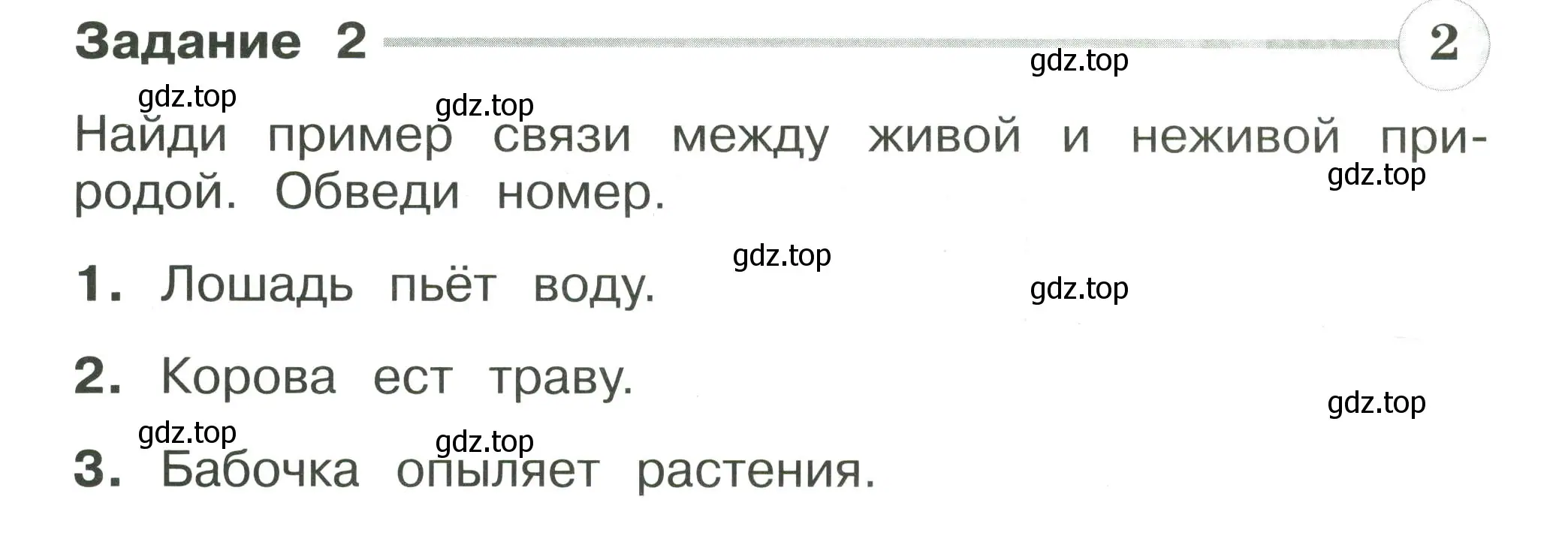 Условие номер 2 (страница 27) гдз по окружающему миру 2 класс Плешаков, Плешаков, проверочные работы