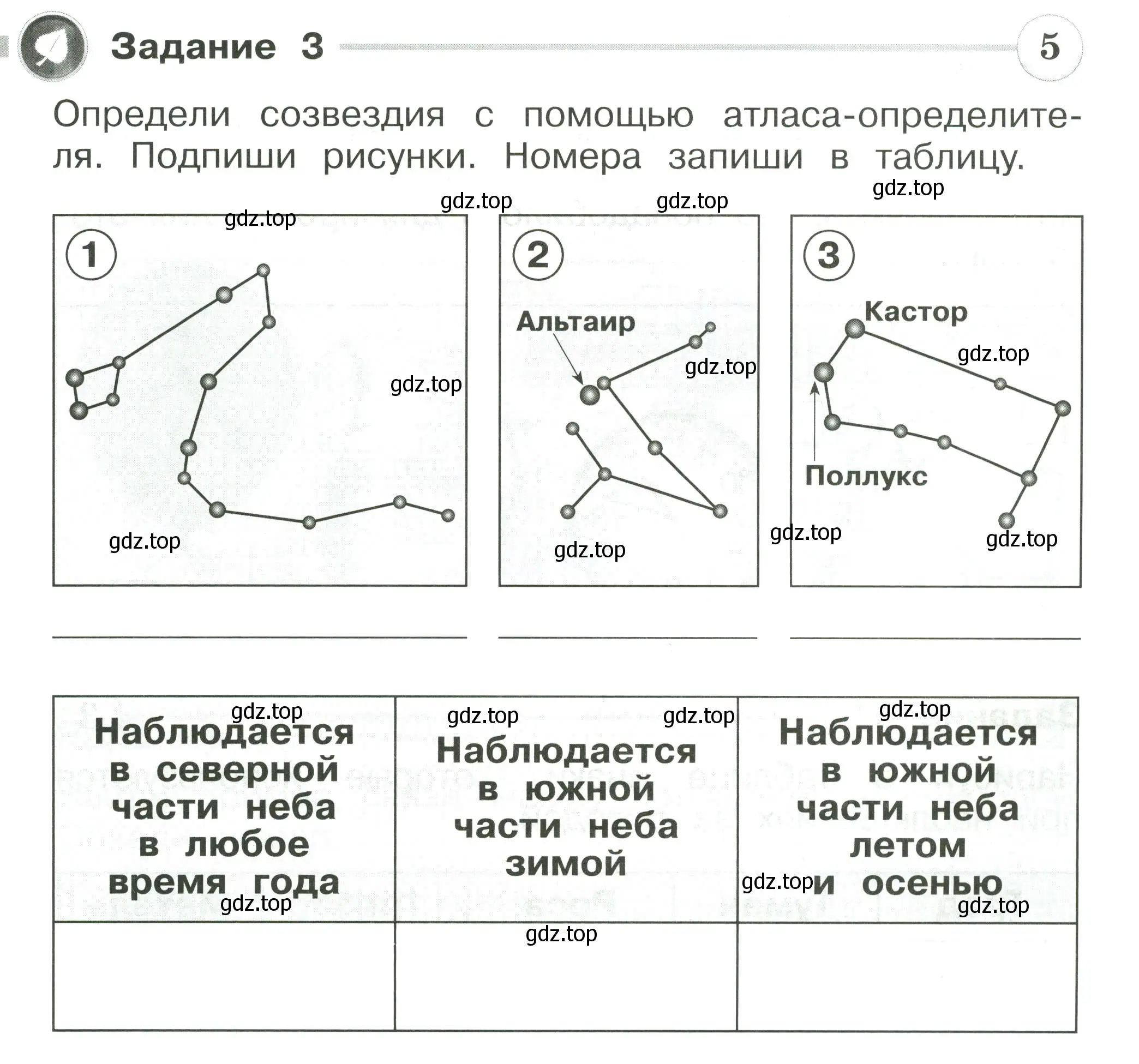 Условие номер 3 (страница 27) гдз по окружающему миру 2 класс Плешаков, Плешаков, проверочные работы