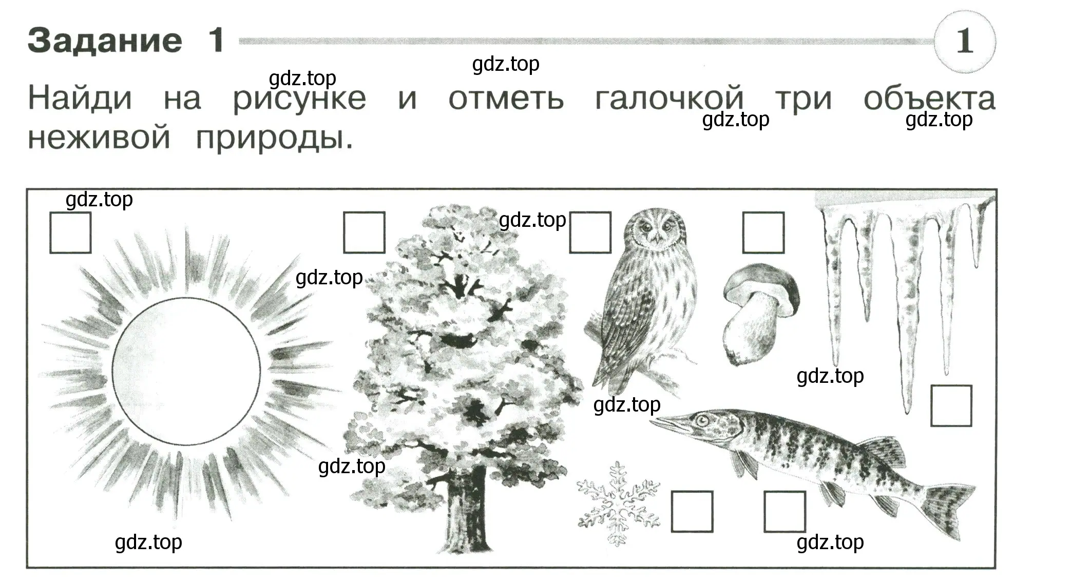 Условие номер 1 (страница 29) гдз по окружающему миру 2 класс Плешаков, Плешаков, проверочные работы