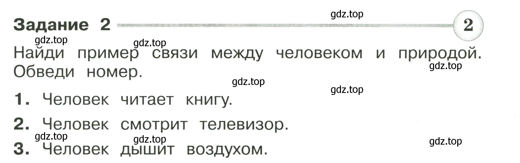 Условие номер 2 (страница 29) гдз по окружающему миру 2 класс Плешаков, Плешаков, проверочные работы