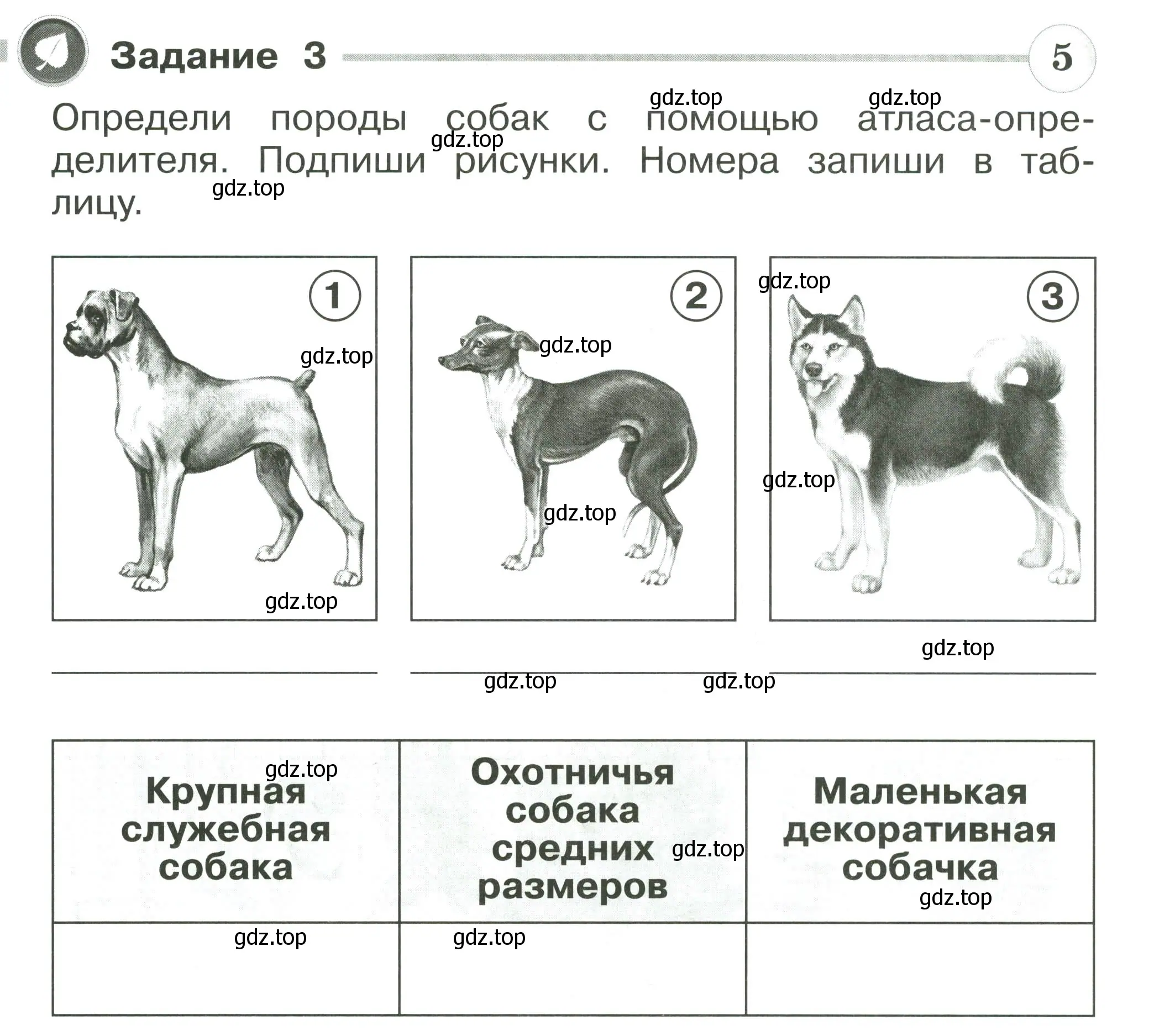 Условие номер 3 (страница 30) гдз по окружающему миру 2 класс Плешаков, Плешаков, проверочные работы