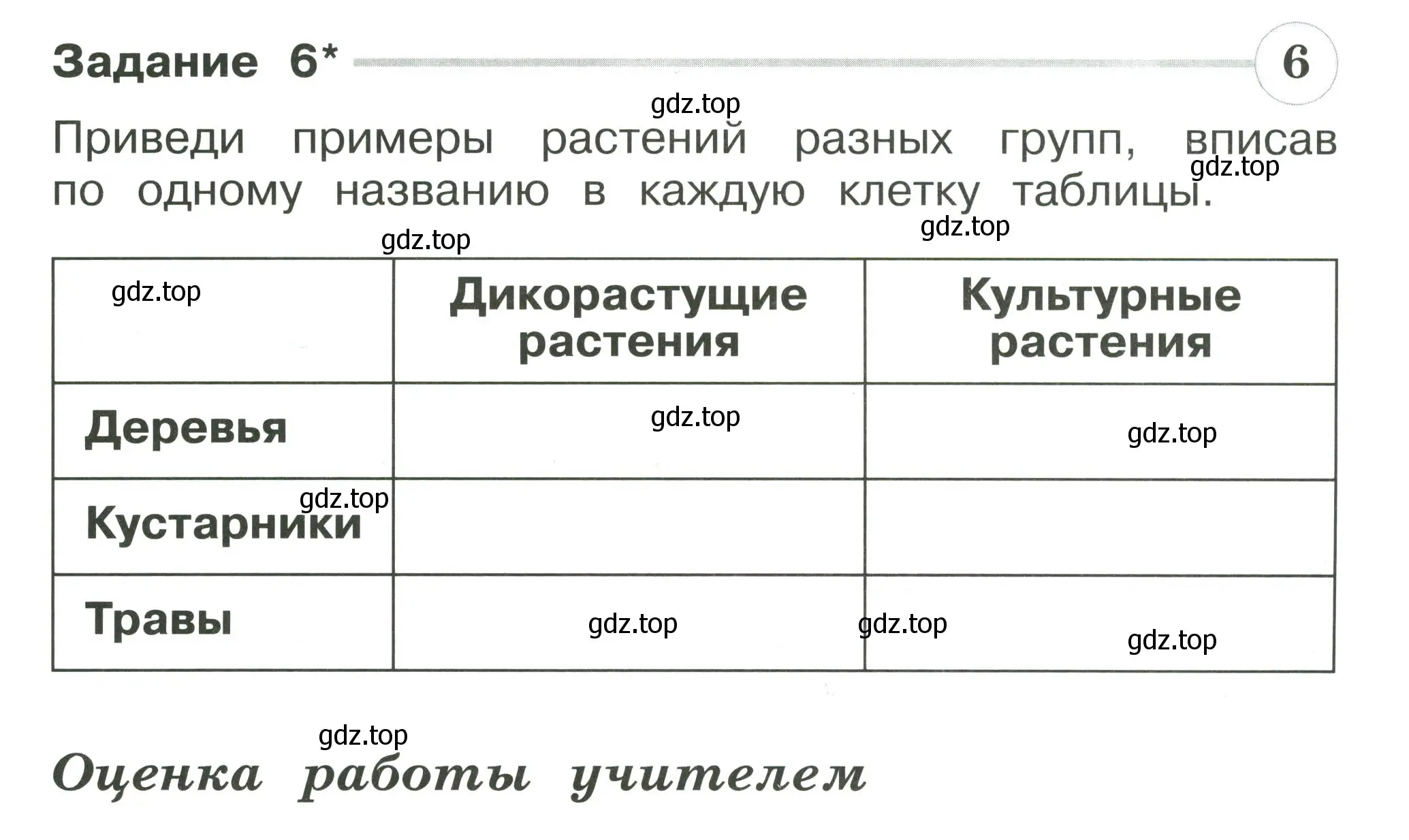 Условие номер 6 (страница 31) гдз по окружающему миру 2 класс Плешаков, Плешаков, проверочные работы