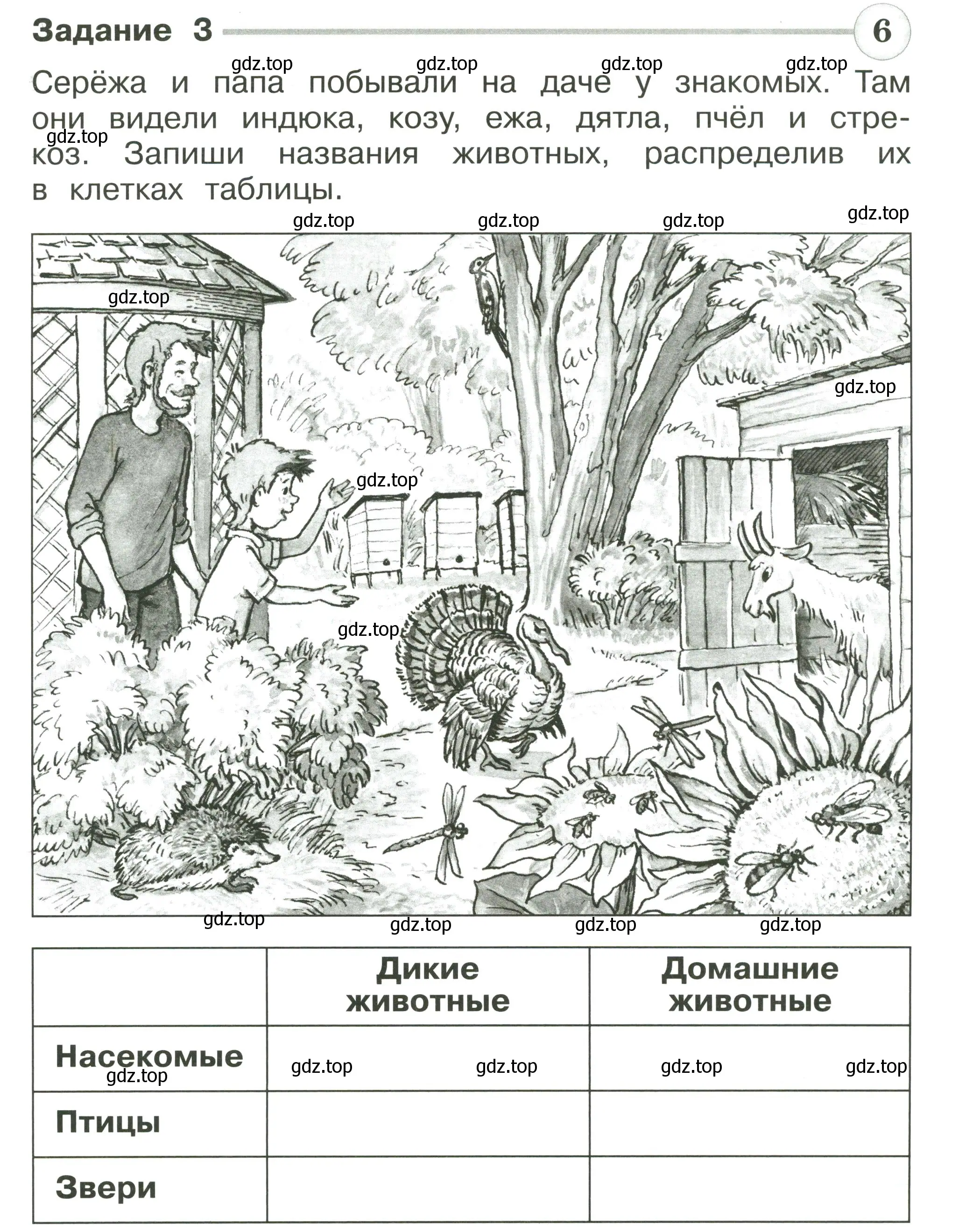 Условие номер 3 (страница 33) гдз по окружающему миру 2 класс Плешаков, Плешаков, проверочные работы