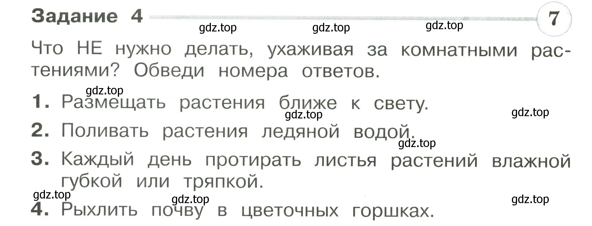 Условие номер 4 (страница 34) гдз по окружающему миру 2 класс Плешаков, Плешаков, проверочные работы