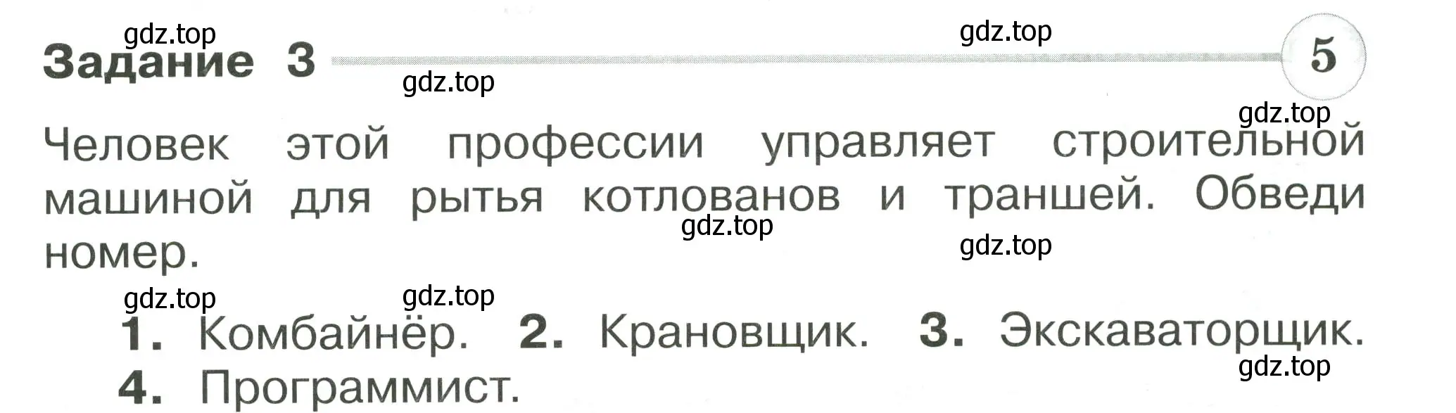 Условие номер 3 (страница 39) гдз по окружающему миру 2 класс Плешаков, Плешаков, проверочные работы