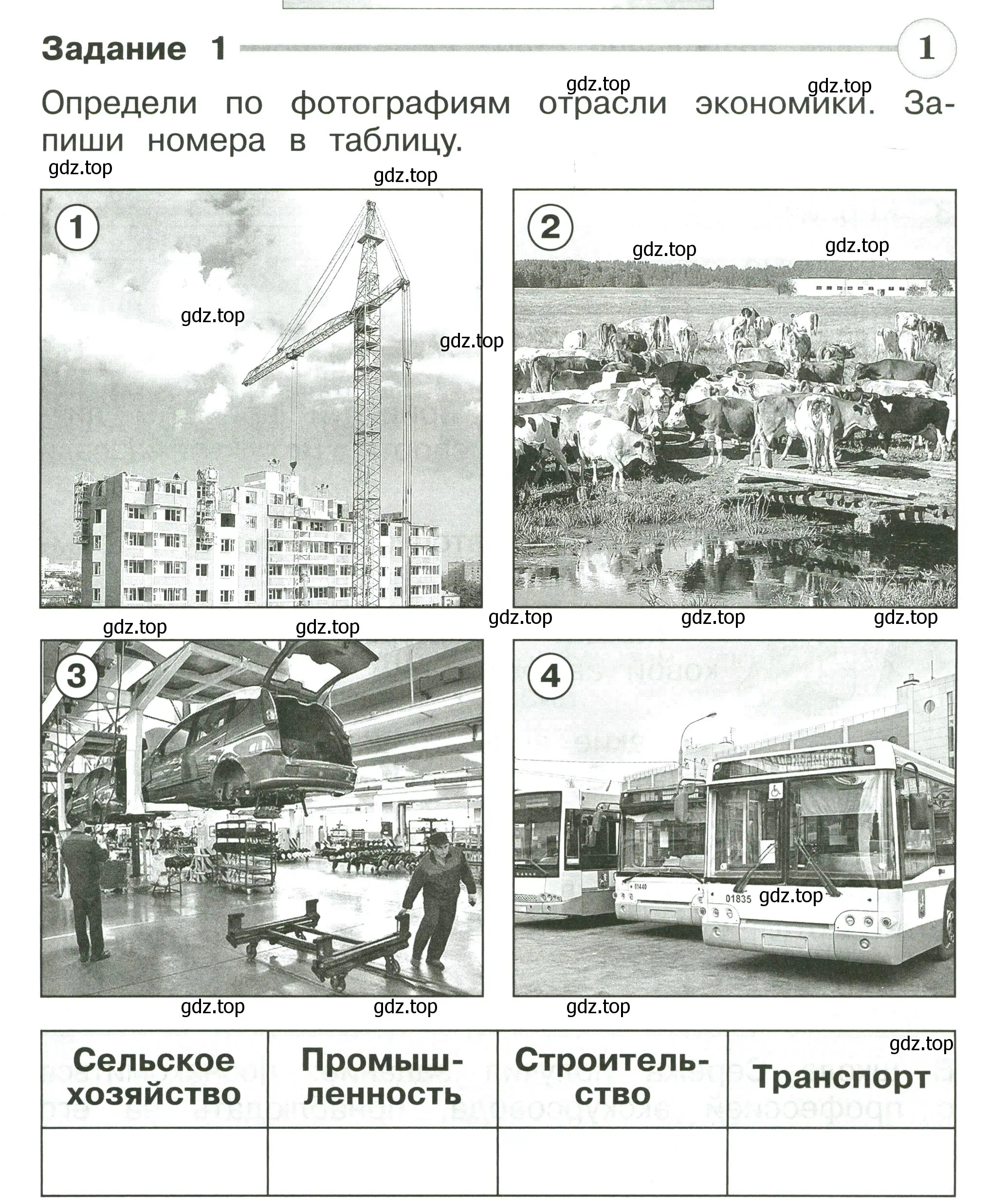 Условие номер 1 (страница 45) гдз по окружающему миру 2 класс Плешаков, Плешаков, проверочные работы