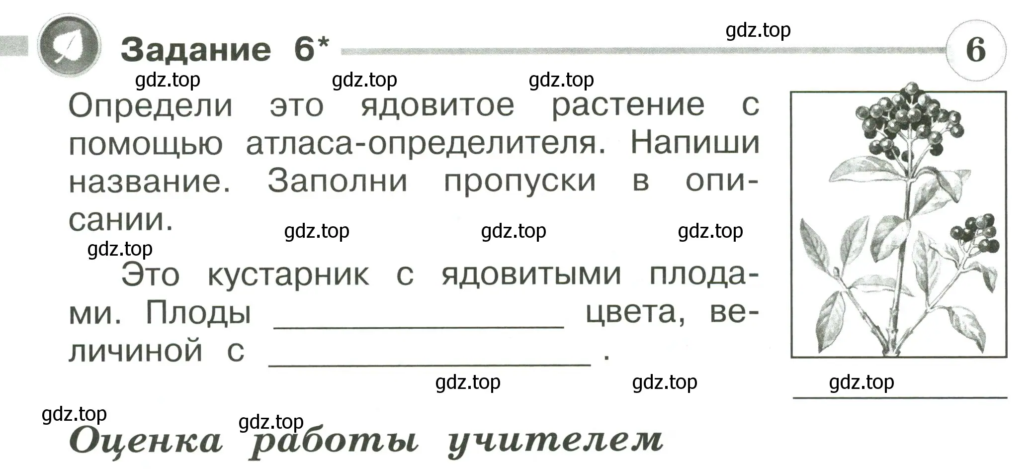 Условие номер 6 (страница 52) гдз по окружающему миру 2 класс Плешаков, Плешаков, проверочные работы