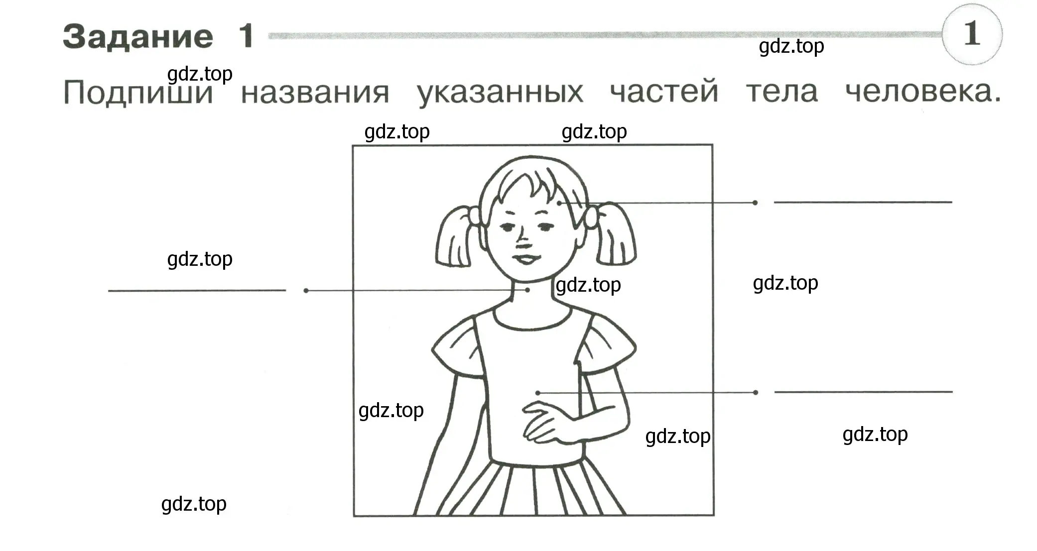 Условие номер 1 (страница 52) гдз по окружающему миру 2 класс Плешаков, Плешаков, проверочные работы