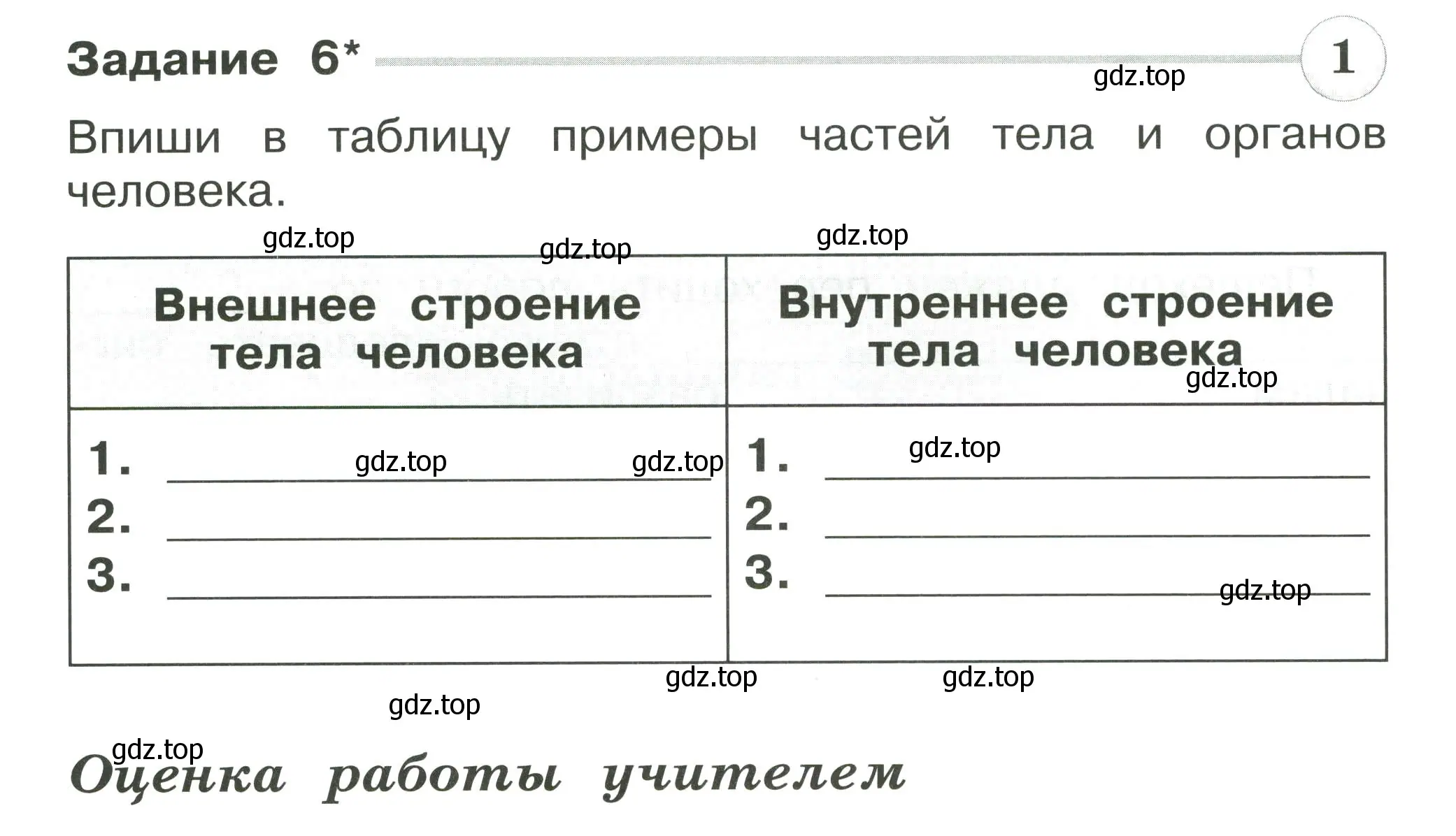 Условие номер 6 (страница 54) гдз по окружающему миру 2 класс Плешаков, Плешаков, проверочные работы