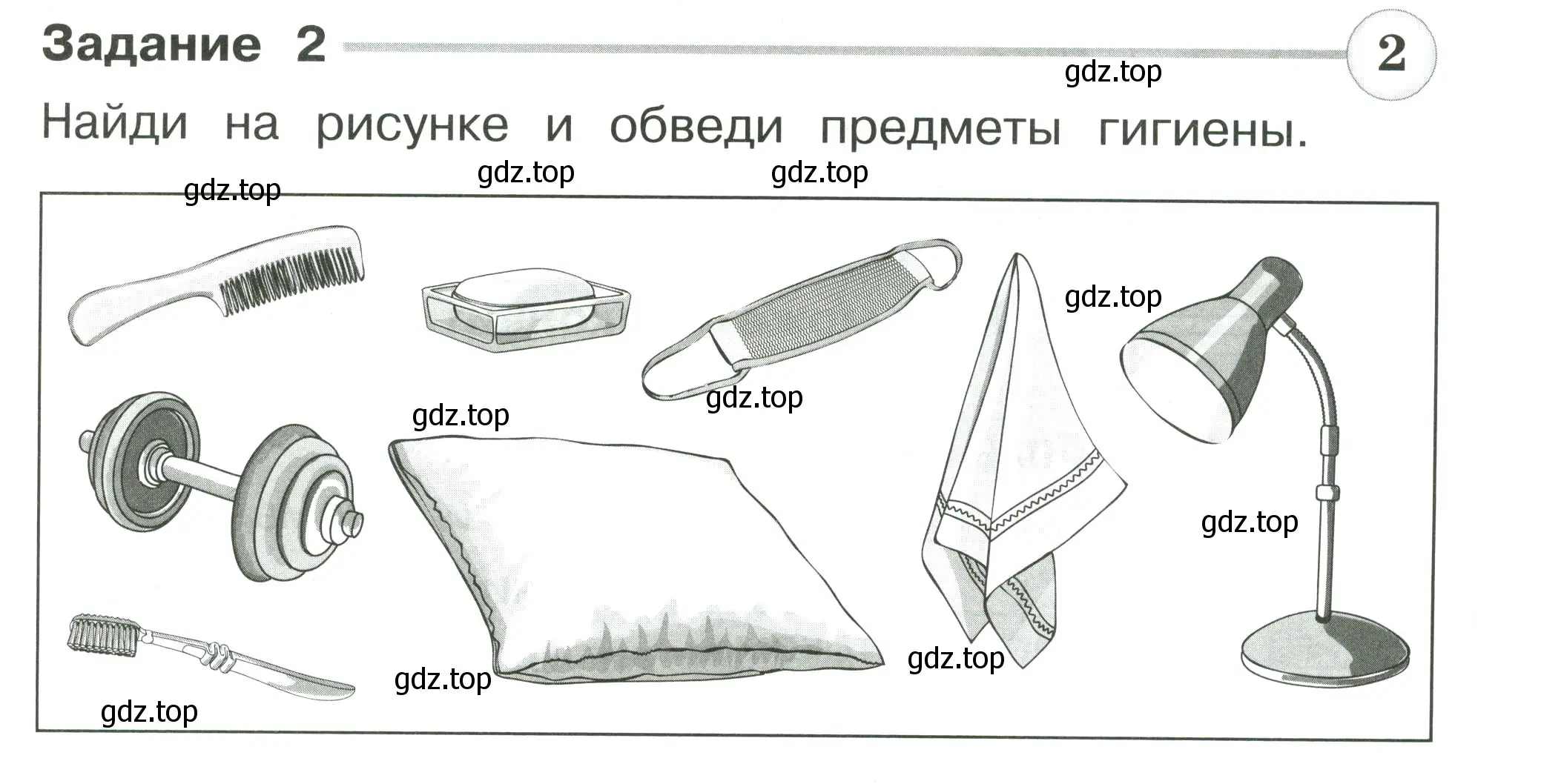 Условие номер 2 (страница 55) гдз по окружающему миру 2 класс Плешаков, Плешаков, проверочные работы