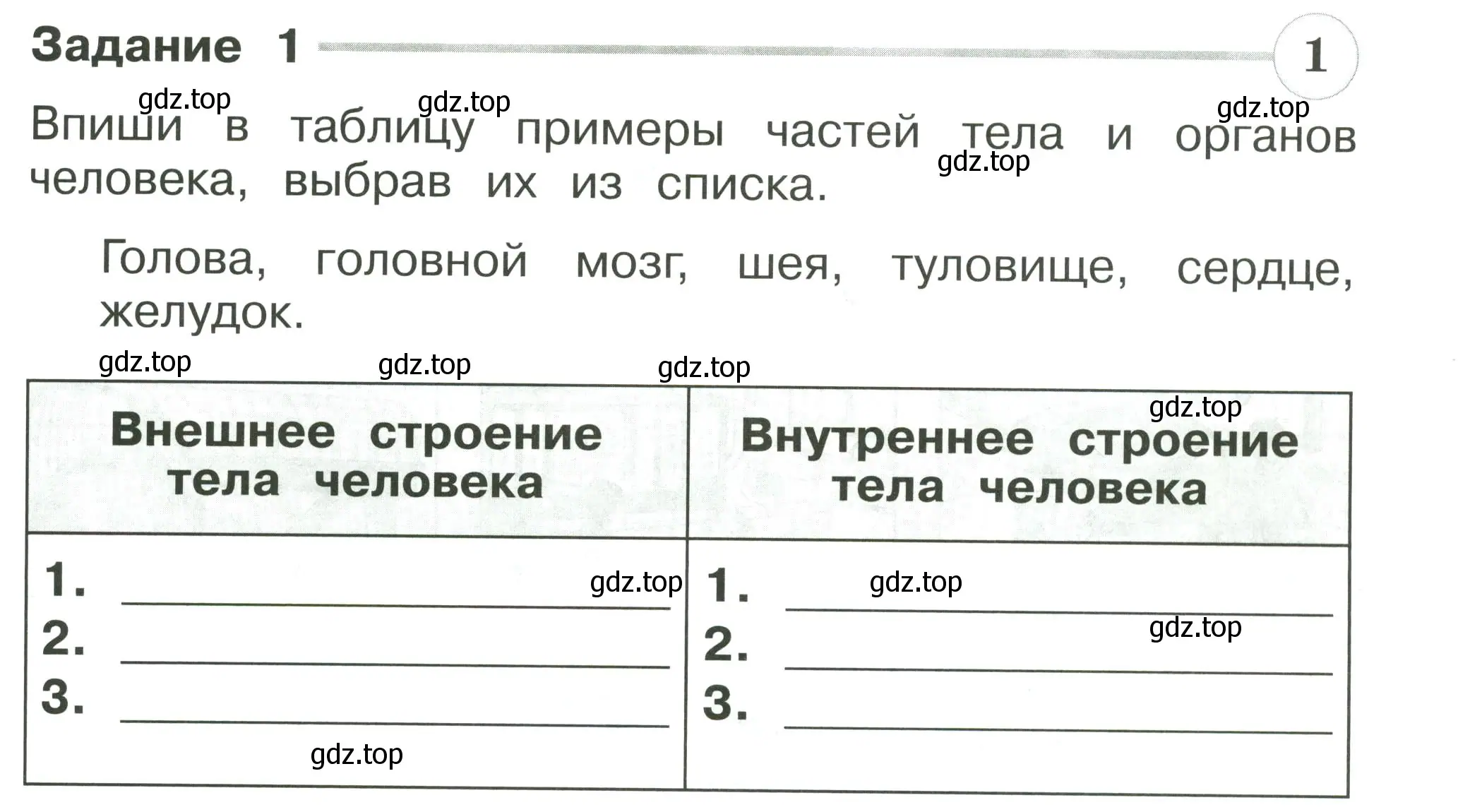 Условие номер 1 (страница 57) гдз по окружающему миру 2 класс Плешаков, Плешаков, проверочные работы