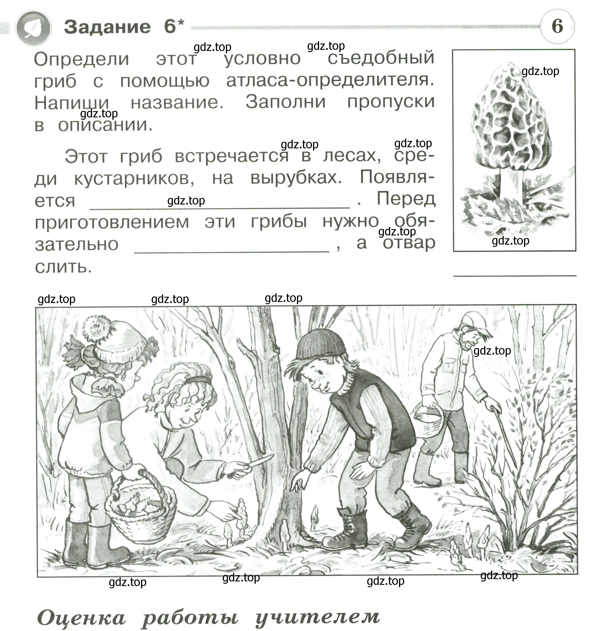 Условие номер 6 (страница 60) гдз по окружающему миру 2 класс Плешаков, Плешаков, проверочные работы