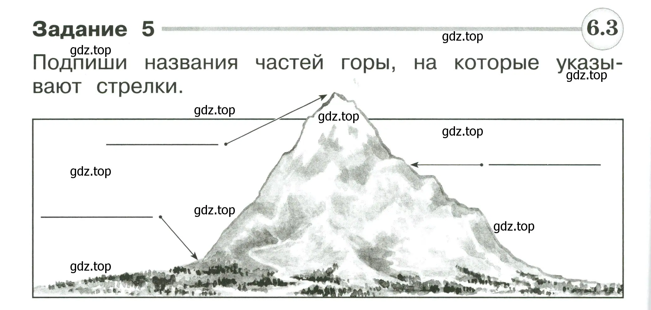 Условие номер 5 (страница 84) гдз по окружающему миру 2 класс Плешаков, Плешаков, проверочные работы