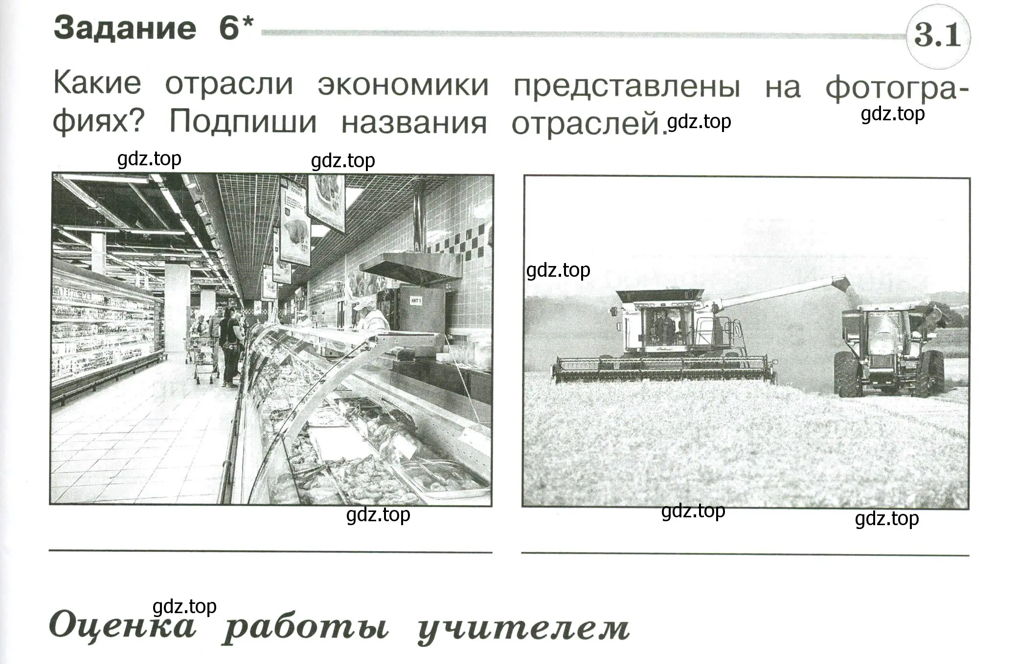 Условие номер 6 (страница 85) гдз по окружающему миру 2 класс Плешаков, Плешаков, проверочные работы