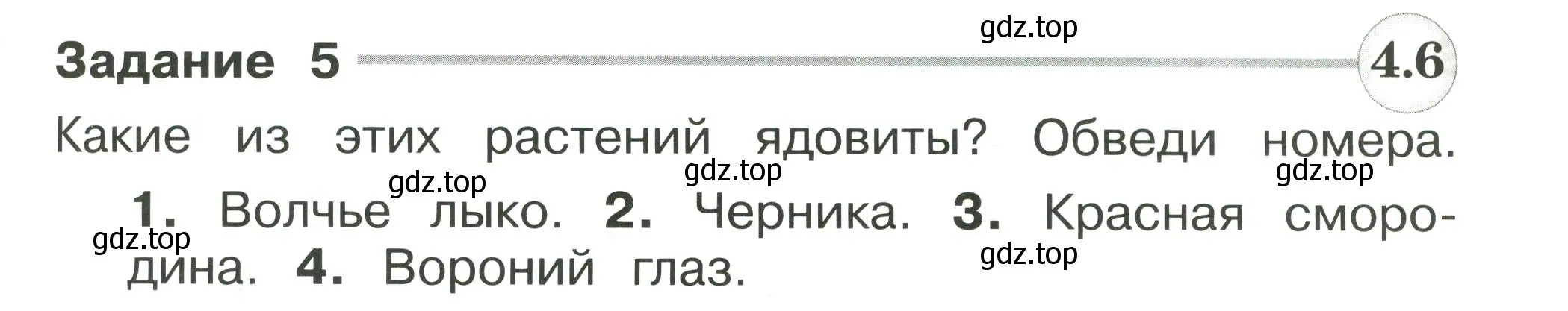 Условие номер 5 (страница 87) гдз по окружающему миру 2 класс Плешаков, Плешаков, проверочные работы