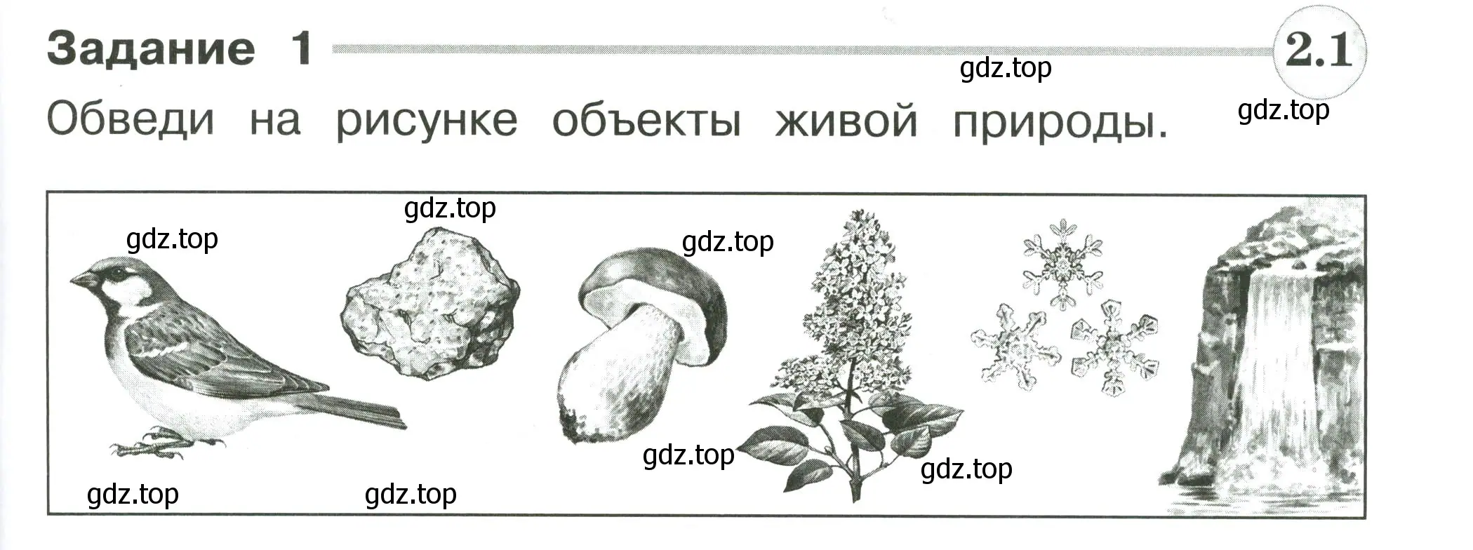 Условие номер 1 (страница 87) гдз по окружающему миру 2 класс Плешаков, Плешаков, проверочные работы