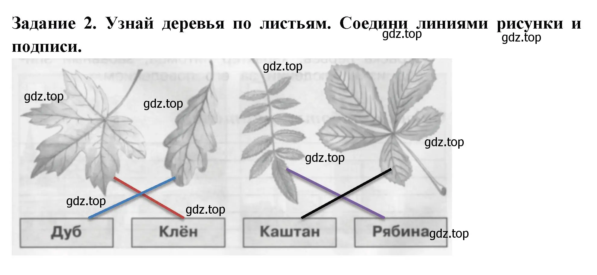 Решение номер 2 (страница 3) гдз по окружающему миру 2 класс Плешаков, Плешаков, проверочные работы