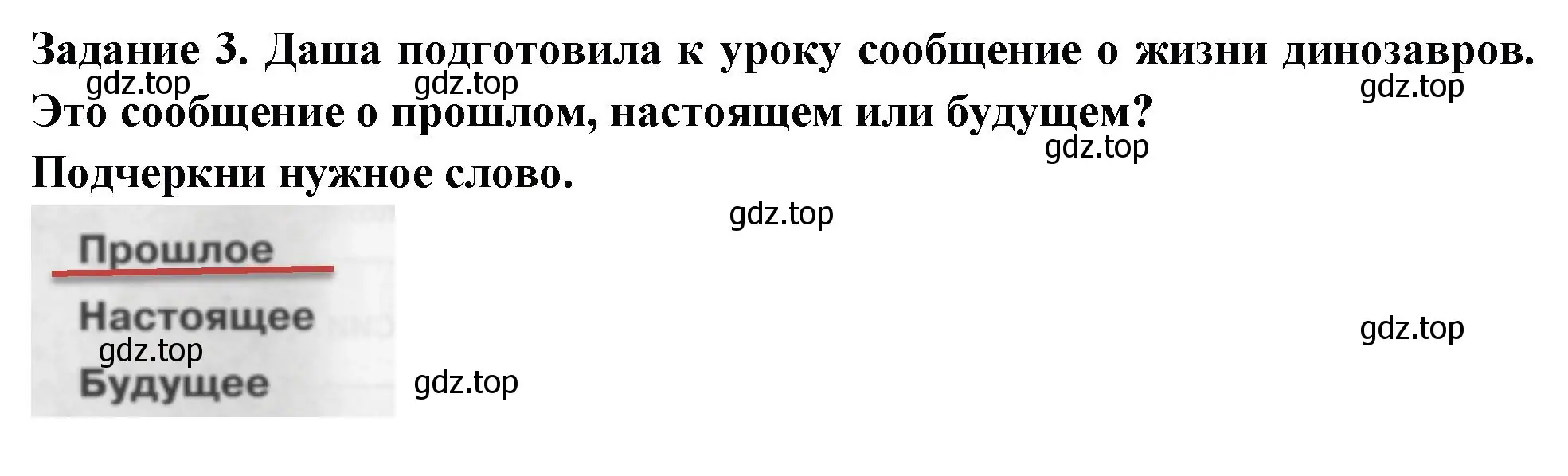 Решение номер 3 (страница 4) гдз по окружающему миру 2 класс Плешаков, Плешаков, проверочные работы