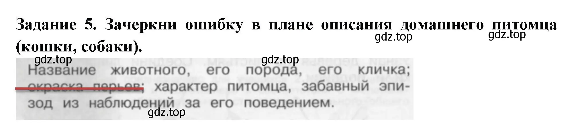 Решение номер 5 (страница 4) гдз по окружающему миру 2 класс Плешаков, Плешаков, проверочные работы