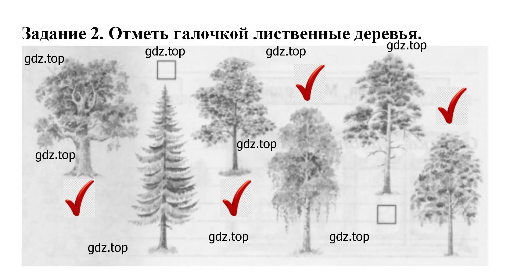 Решение номер 2 (страница 8) гдз по окружающему миру 2 класс Плешаков, Плешаков, проверочные работы