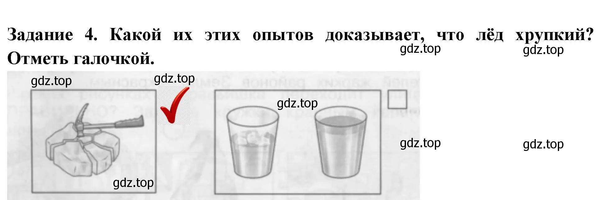 Решение номер 4 (страница 10) гдз по окружающему миру 2 класс Плешаков, Плешаков, проверочные работы