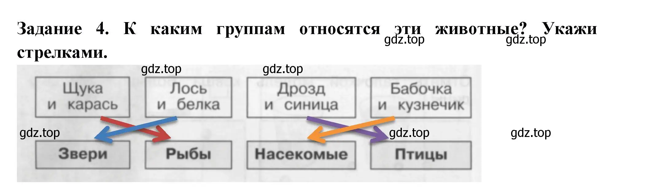 Решение номер 4 (страница 12) гдз по окружающему миру 2 класс Плешаков, Плешаков, проверочные работы