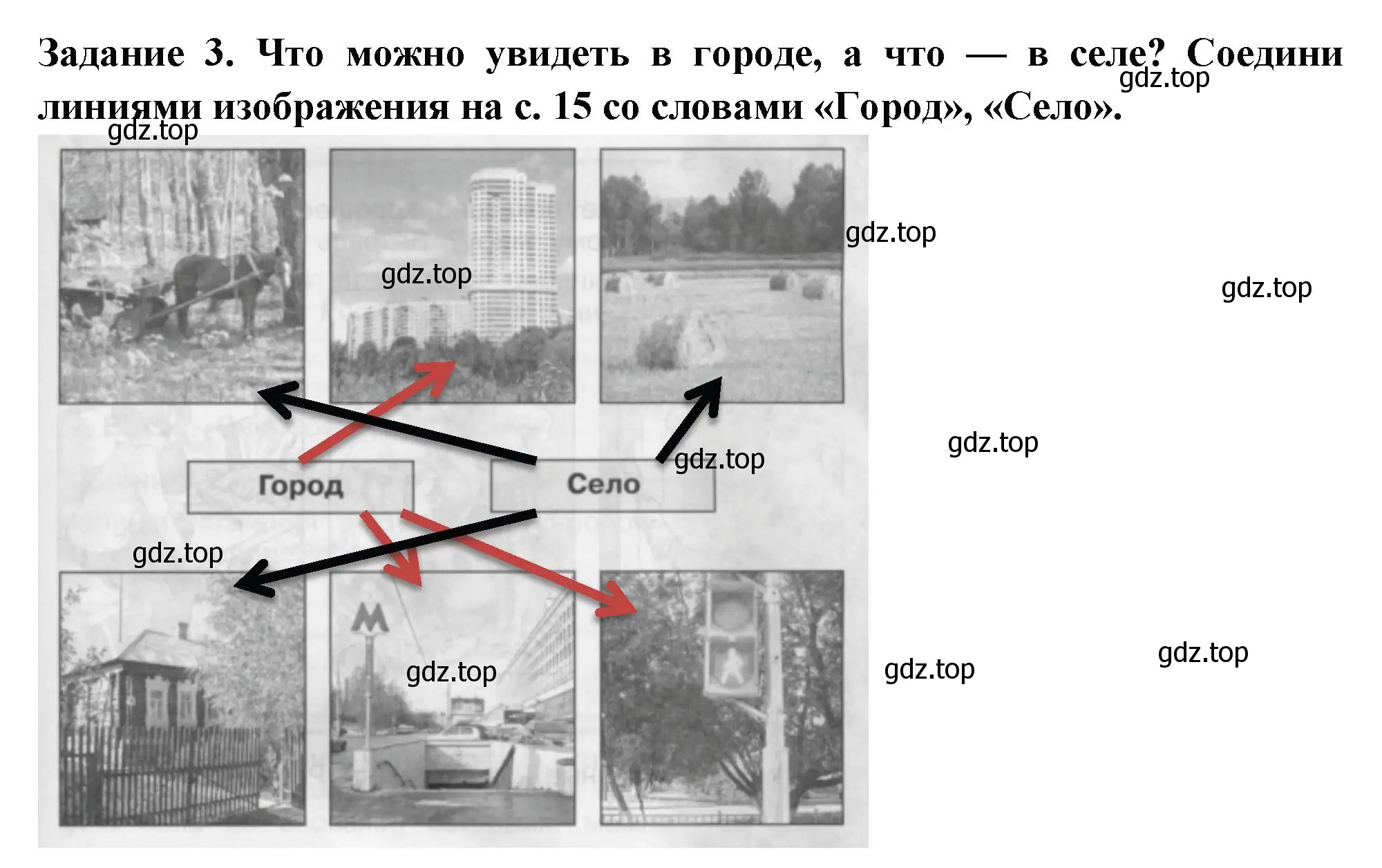 Решение номер 3 (страница 14) гдз по окружающему миру 2 класс Плешаков, Плешаков, проверочные работы