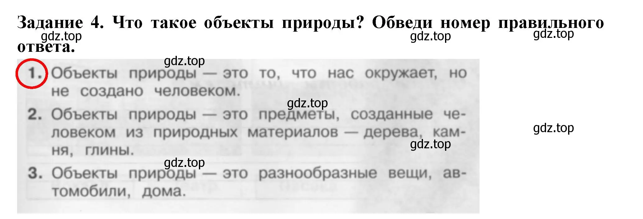 Решение номер 4 (страница 15) гдз по окружающему миру 2 класс Плешаков, Плешаков, проверочные работы