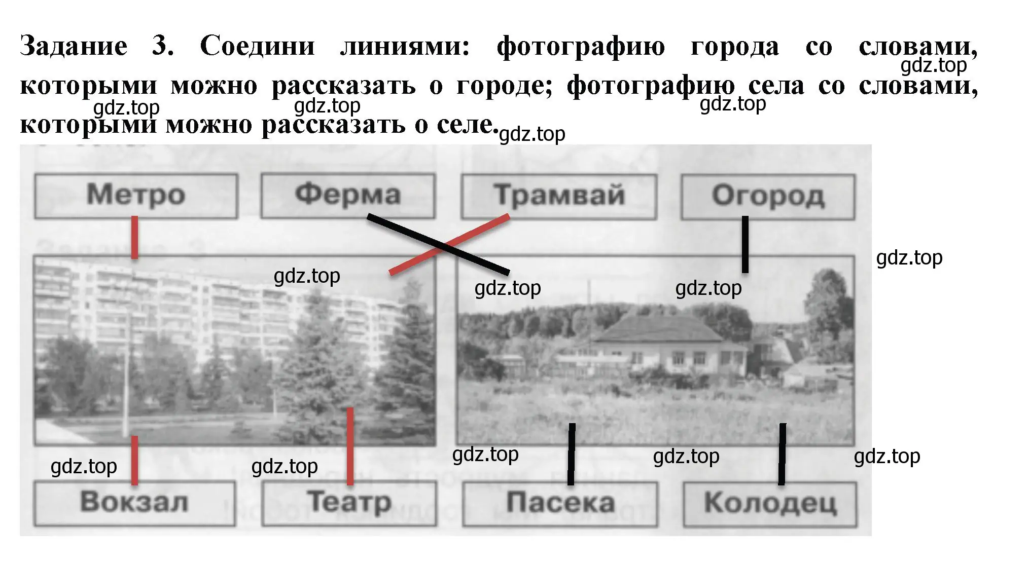 Решение номер 3 (страница 17) гдз по окружающему миру 2 класс Плешаков, Плешаков, проверочные работы