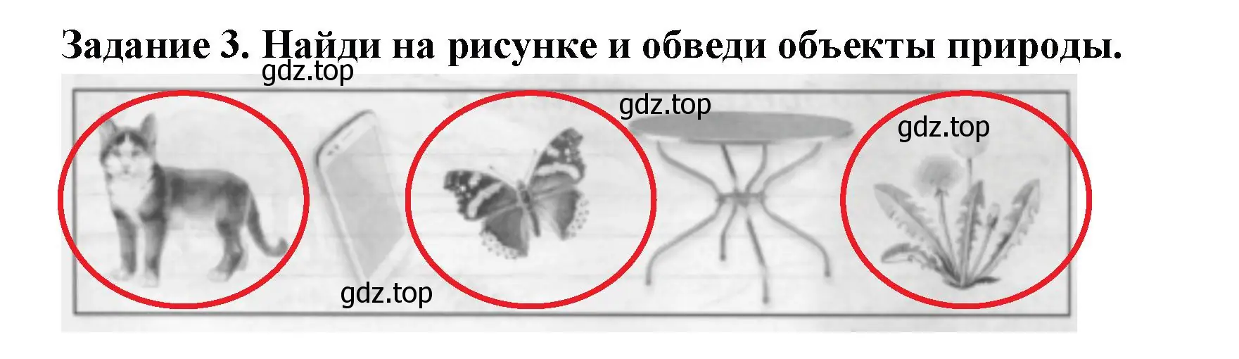 Решение номер 3 (страница 19) гдз по окружающему миру 2 класс Плешаков, Плешаков, проверочные работы