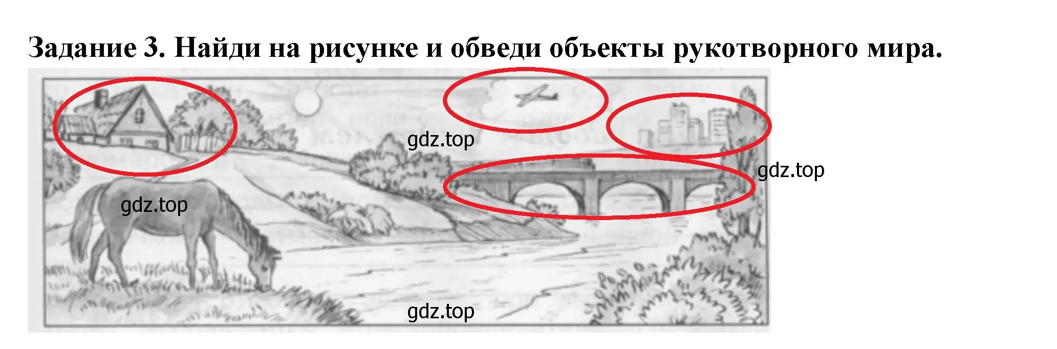 Решение номер 3 (страница 21) гдз по окружающему миру 2 класс Плешаков, Плешаков, проверочные работы