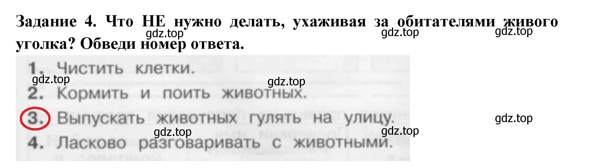 Решение номер 4 (страница 25) гдз по окружающему миру 2 класс Плешаков, Плешаков, проверочные работы