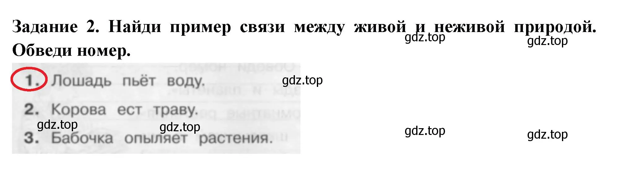 Решение номер 2 (страница 27) гдз по окружающему миру 2 класс Плешаков, Плешаков, проверочные работы