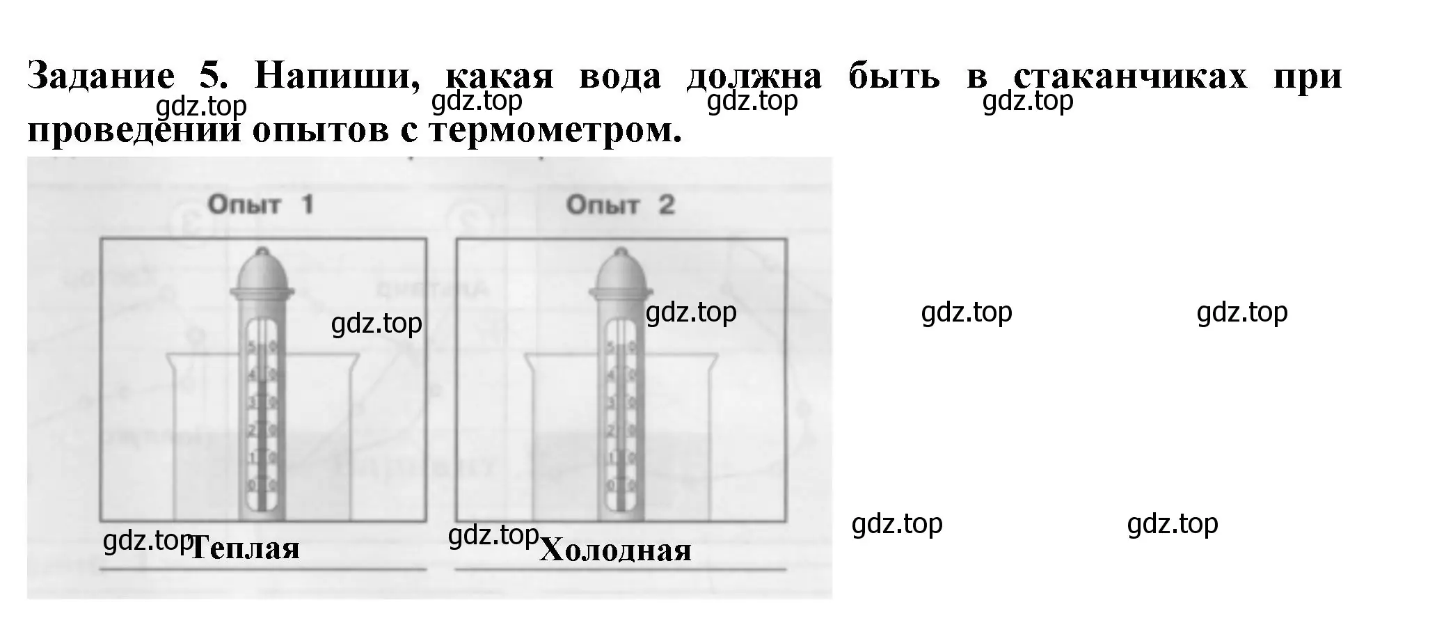 Решение номер 5 (страница 28) гдз по окружающему миру 2 класс Плешаков, Плешаков, проверочные работы