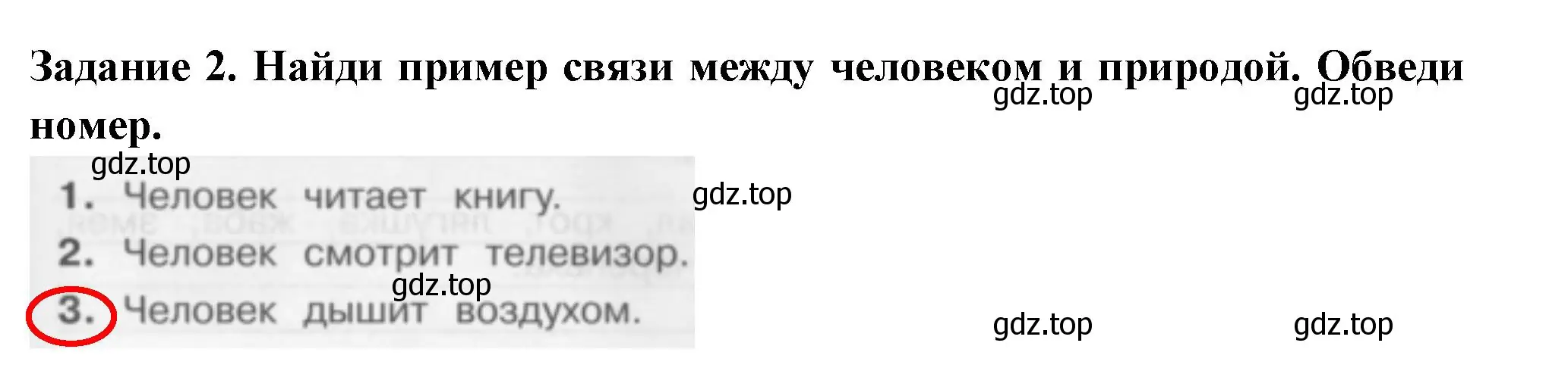 Решение номер 2 (страница 29) гдз по окружающему миру 2 класс Плешаков, Плешаков, проверочные работы