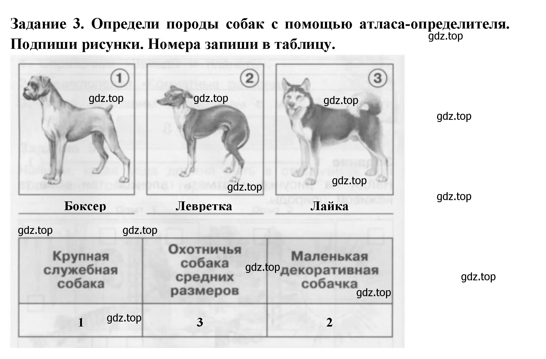 Решение номер 3 (страница 30) гдз по окружающему миру 2 класс Плешаков, Плешаков, проверочные работы