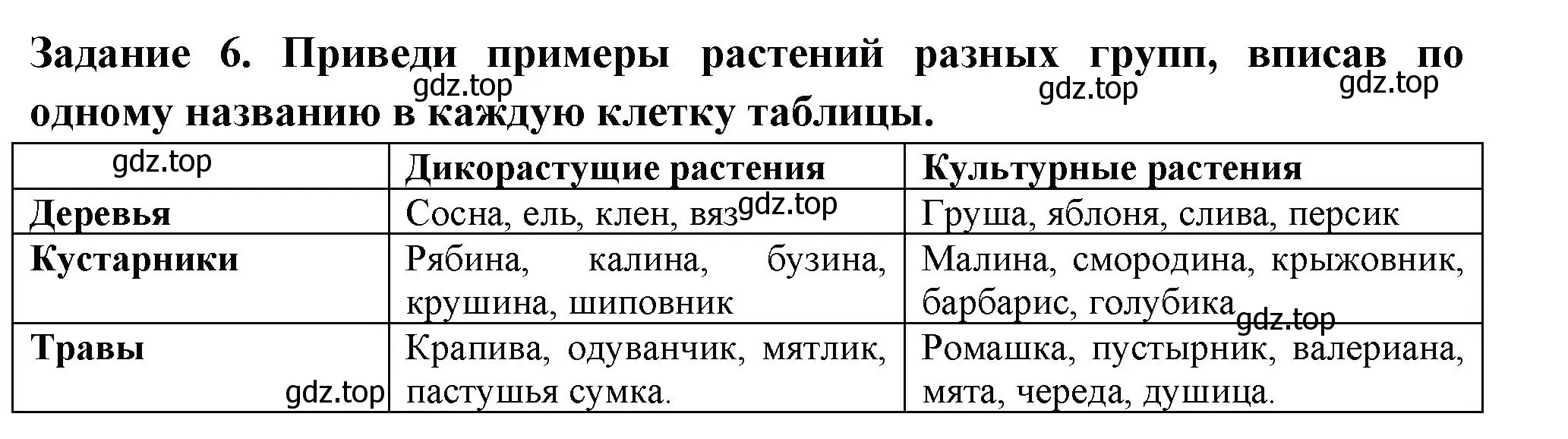 Решение номер 6 (страница 31) гдз по окружающему миру 2 класс Плешаков, Плешаков, проверочные работы