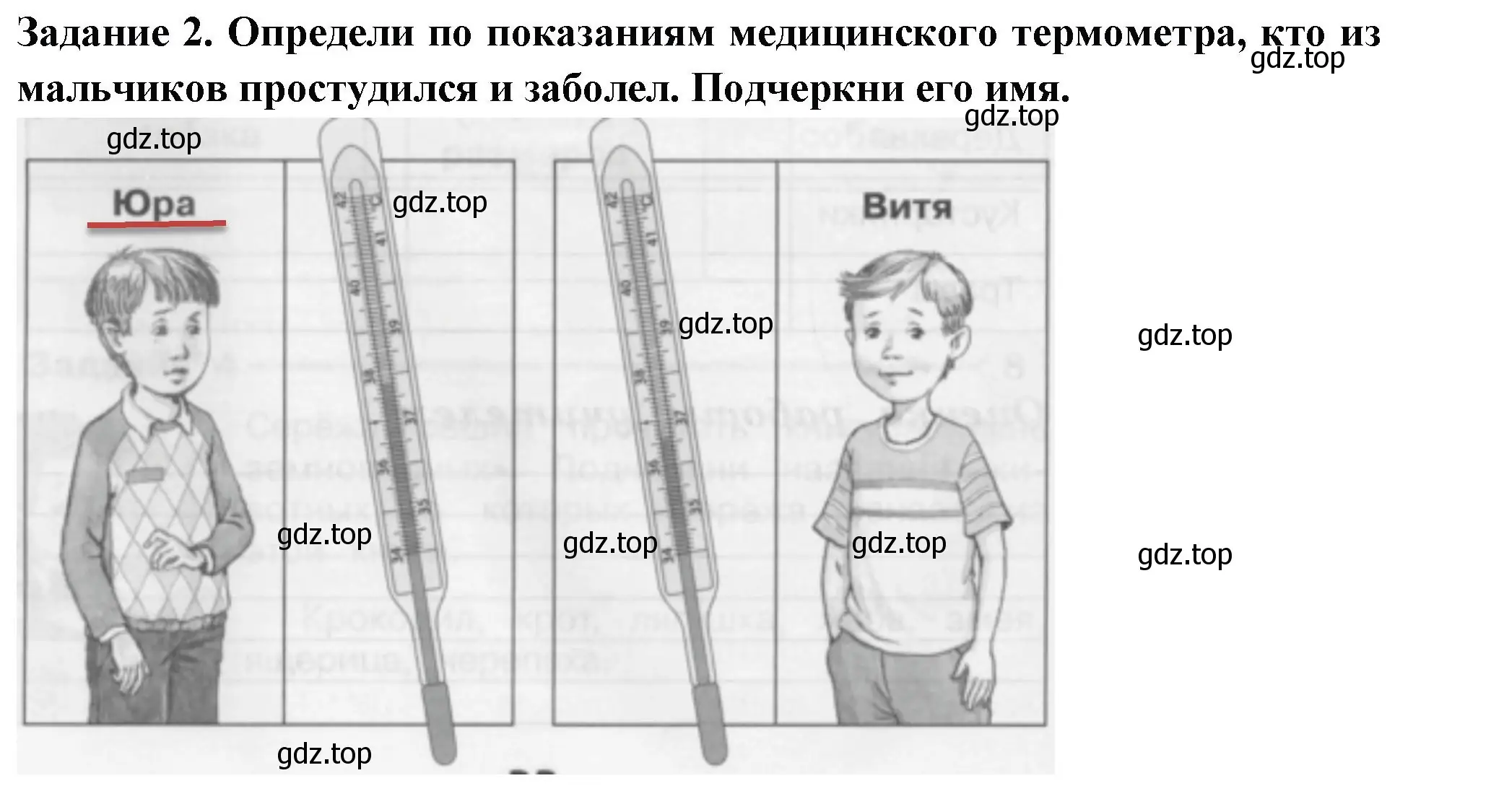 Решение номер 2 (страница 32) гдз по окружающему миру 2 класс Плешаков, Плешаков, проверочные работы