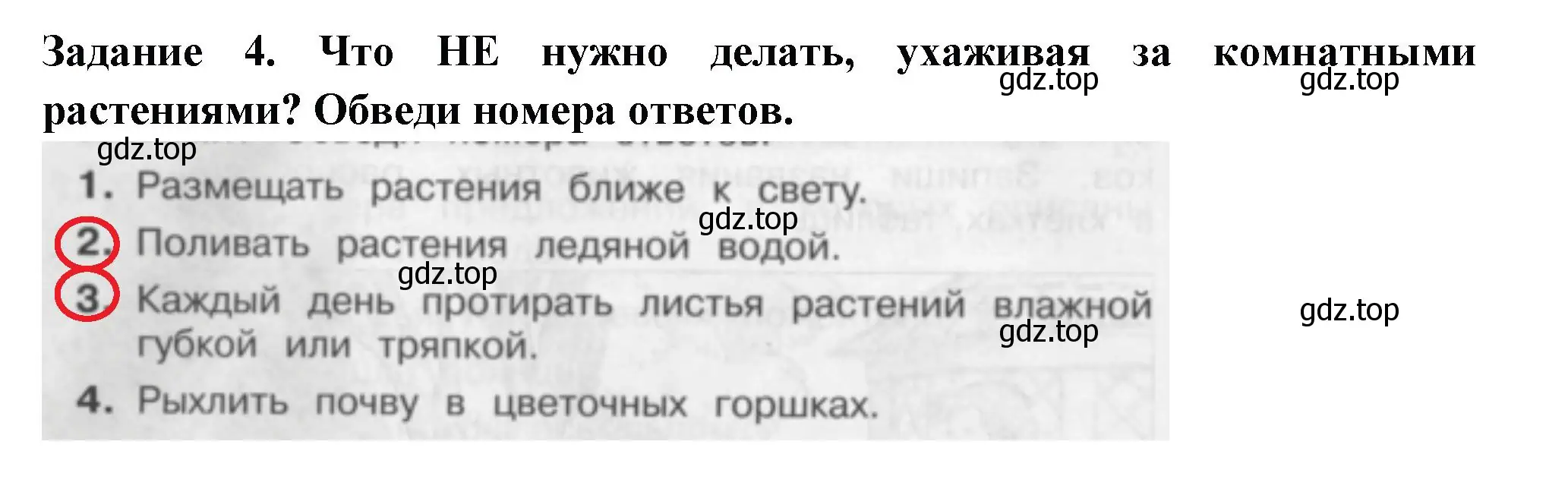 Решение номер 4 (страница 34) гдз по окружающему миру 2 класс Плешаков, Плешаков, проверочные работы