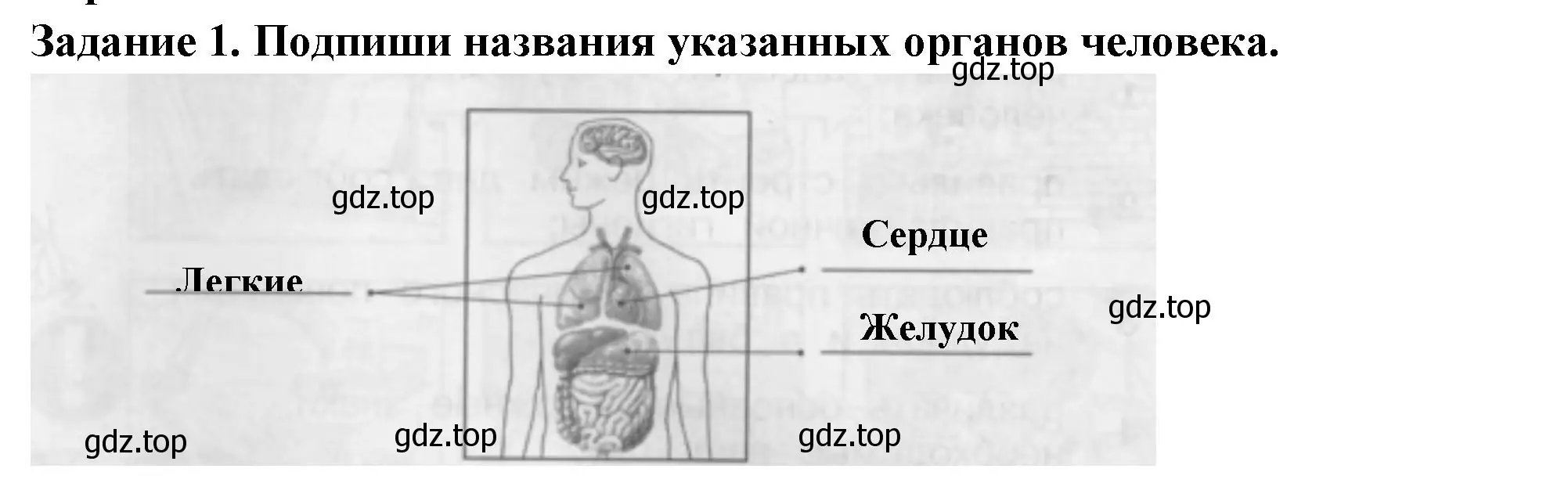 Решение номер 1 (страница 50) гдз по окружающему миру 2 класс Плешаков, Плешаков, проверочные работы