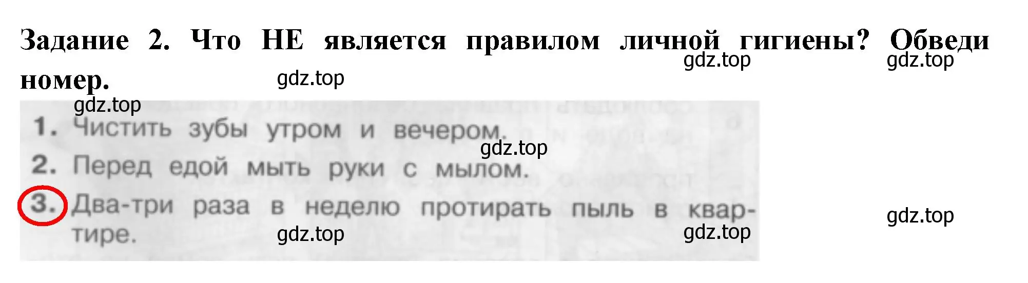 Решение номер 2 (страница 50) гдз по окружающему миру 2 класс Плешаков, Плешаков, проверочные работы