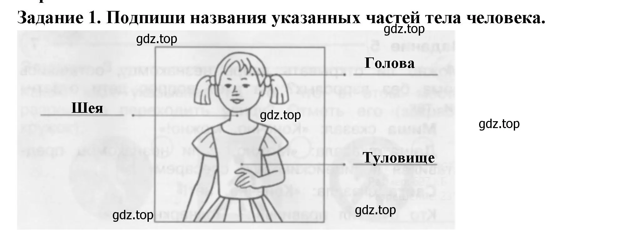 Решение номер 1 (страница 52) гдз по окружающему миру 2 класс Плешаков, Плешаков, проверочные работы