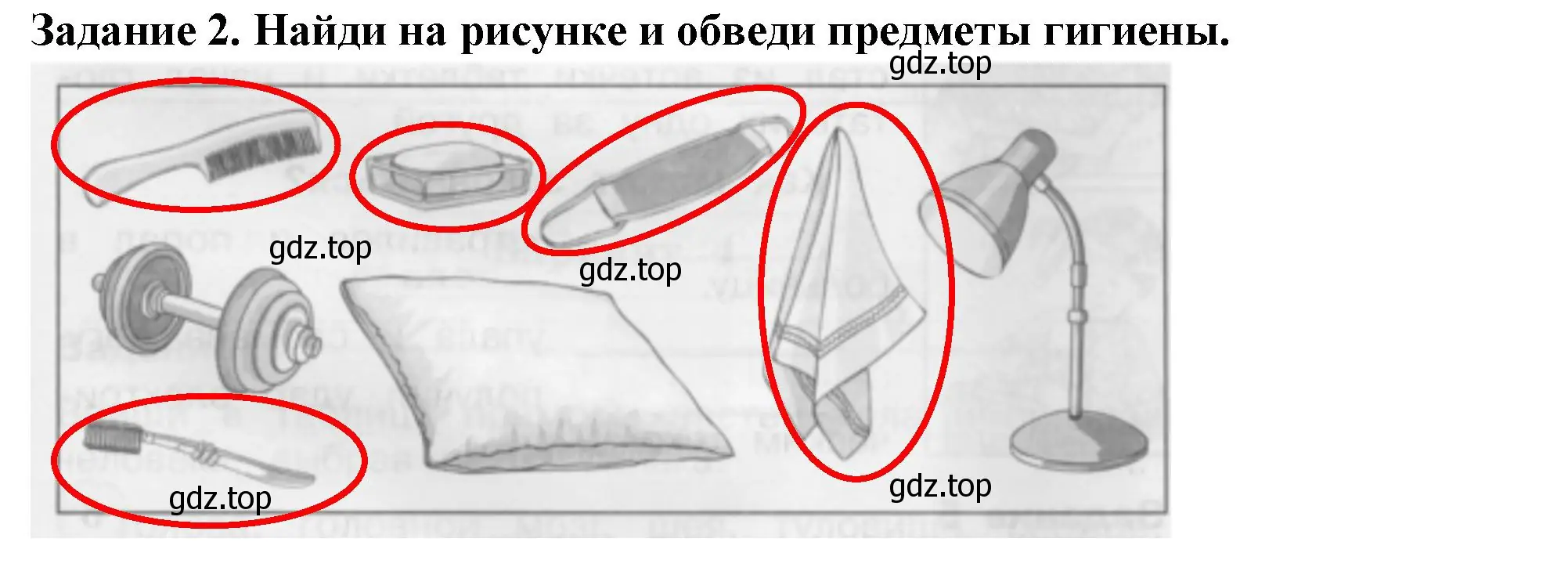 Решение номер 2 (страница 55) гдз по окружающему миру 2 класс Плешаков, Плешаков, проверочные работы