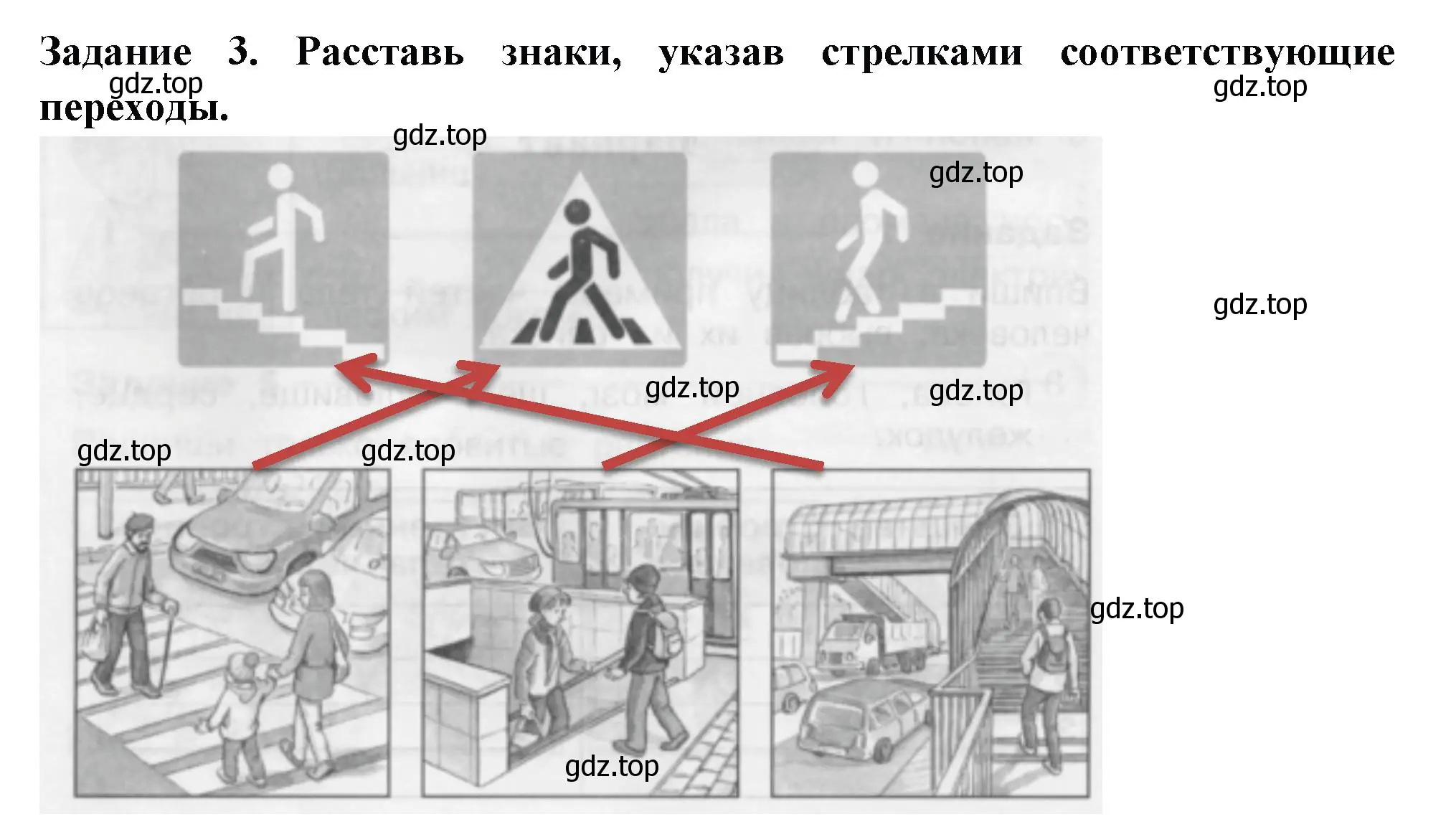 Решение номер 3 (страница 58) гдз по окружающему миру 2 класс Плешаков, Плешаков, проверочные работы